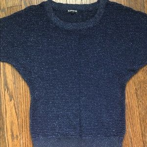 Sparkly navy sweater